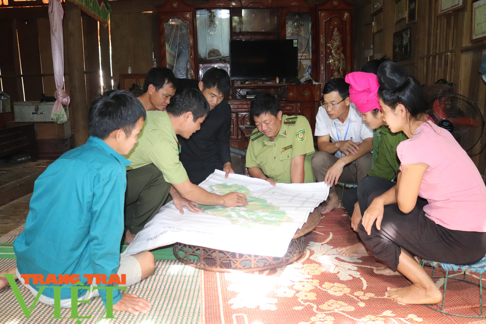 Chiềng Ve làm tốt công tác bảo vệ rừng - Ảnh 1. Chiềng Ve làm tốt công tác bảo vệ rừng - Ảnh 1.