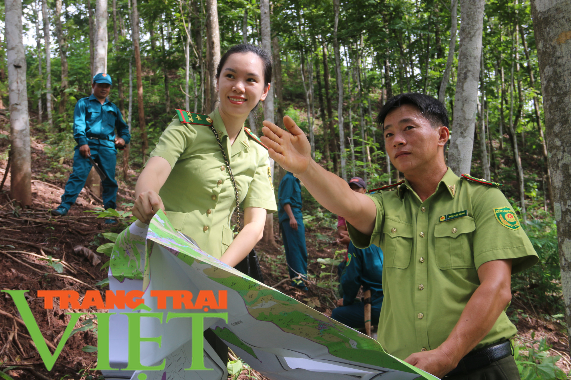 Hạt Kiểm lâm Yên Châu với công tác tuần tra bảo vệ rừng - Ảnh 1. Hạt Kiểm lâm Yên Châu với công tác tuần tra bảo vệ rừng - Ảnh 1.