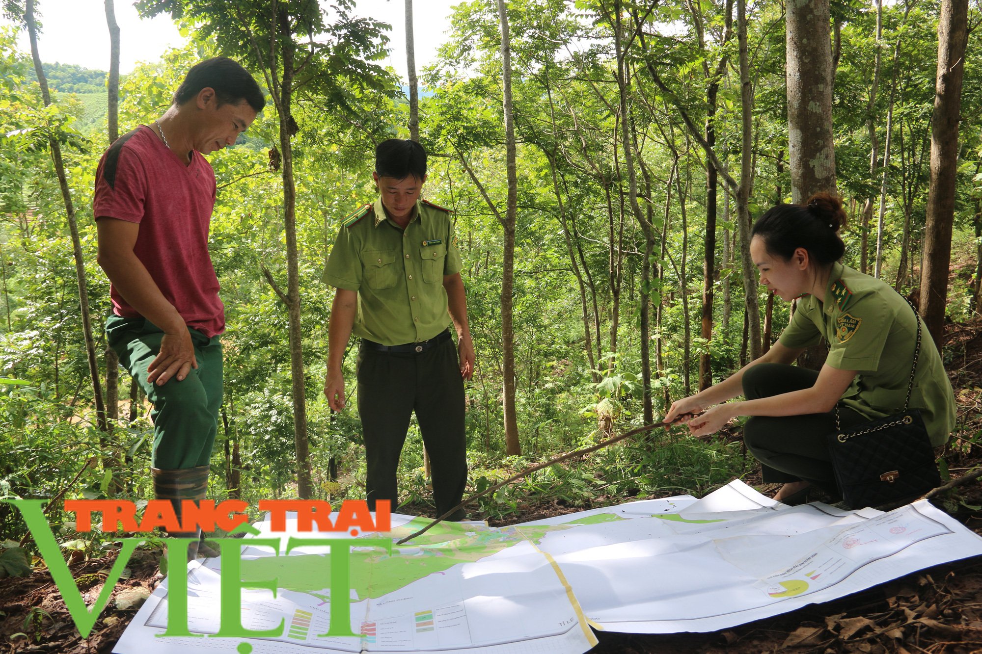 Hạt Kiểm lâm Yên Châu với công tác tuần tra bảo vệ rừng - Ảnh 5. Hạt Kiểm lâm Yên Châu với công tác tuần tra bảo vệ rừng - Ảnh 5.
