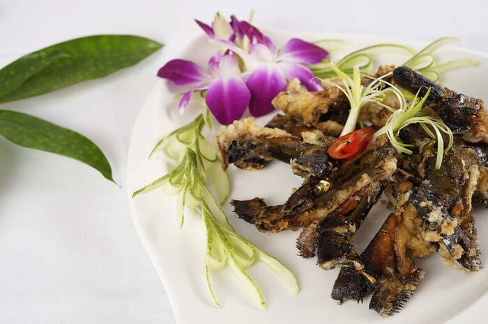 Truyền thuyết &quot;dính như sam&quot; và đặc sản thuộc hạng cực phẩm ở Hạ Long - Ảnh 6.