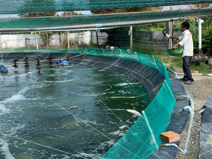 Nông dân thu tiền tỷ mỗi năm nhờ nuôi tôm công nghệ cao - Ảnh 3. Nông dân thu tiền tỷ mỗi năm nhờ nuôi tôm công nghệ cao - Ảnh 3.