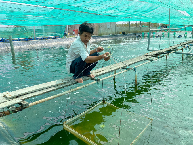 Nông dân thu tiền tỷ mỗi năm nhờ nuôi tôm công nghệ cao - Ảnh 1. Nông dân thu tiền tỷ mỗi năm nhờ nuôi tôm công nghệ cao - Ảnh 1.