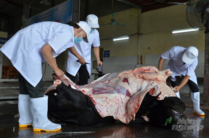 Hồi hộp như mổ bò Nhật giữa Hà Nội - Ảnh 1. Hồi hộp như mổ bò Nhật giữa Hà Nội - Ảnh 1.