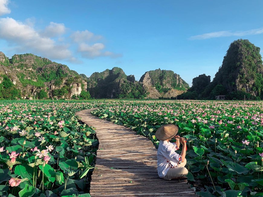 Lạ Ninh Bình: Đang giữa mùa Thu, đầm sen &quot;kỳ lạ nhất Việt Nam&quot; bỗng dưng nở rộ sắc màu - Ảnh 10.