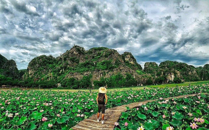 Lạ Ninh Bình: Đang giữa mùa Thu, đầm sen &quot;kỳ lạ nhất Việt Nam&quot; bỗng dưng nở rộ sắc màu - Ảnh 12.