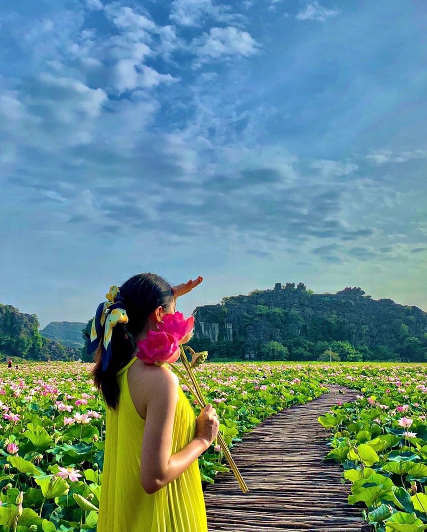 Lạ Ninh Bình: Đang giữa mùa Thu, đầm sen &quot;kỳ lạ nhất Việt Nam&quot; bỗng dưng nở rộ sắc màu - Ảnh 7.
