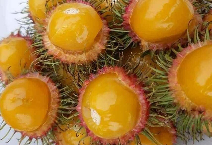 Trái cây rừng xuống phố 'cháy hàng' - Ảnh 3. Trái cây rừng xuống phố 'cháy hàng' - Ảnh 3.