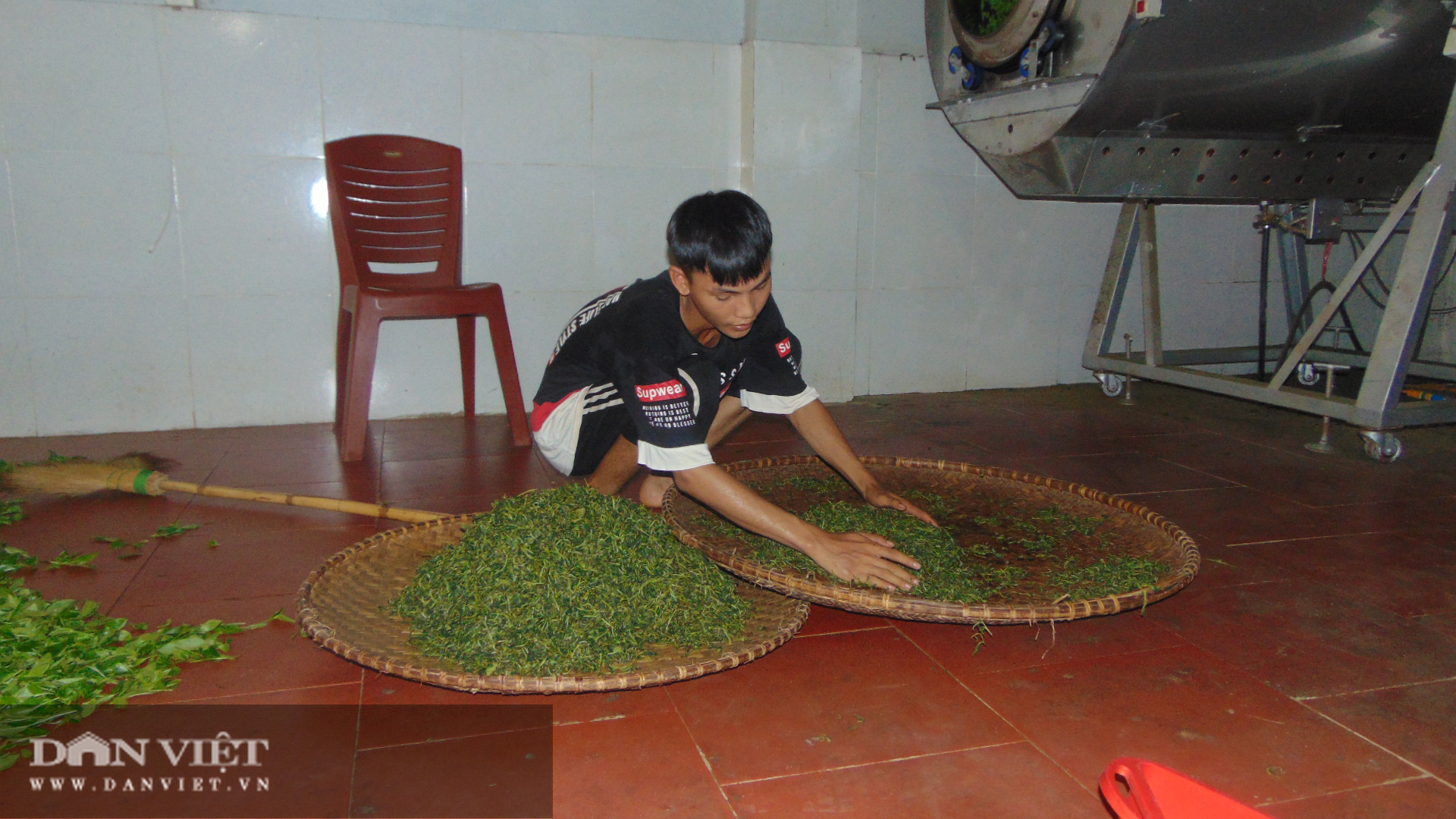 Thanh niên trẻ khởi nghiệp với nghề chè truyền thống  - Ảnh 5.