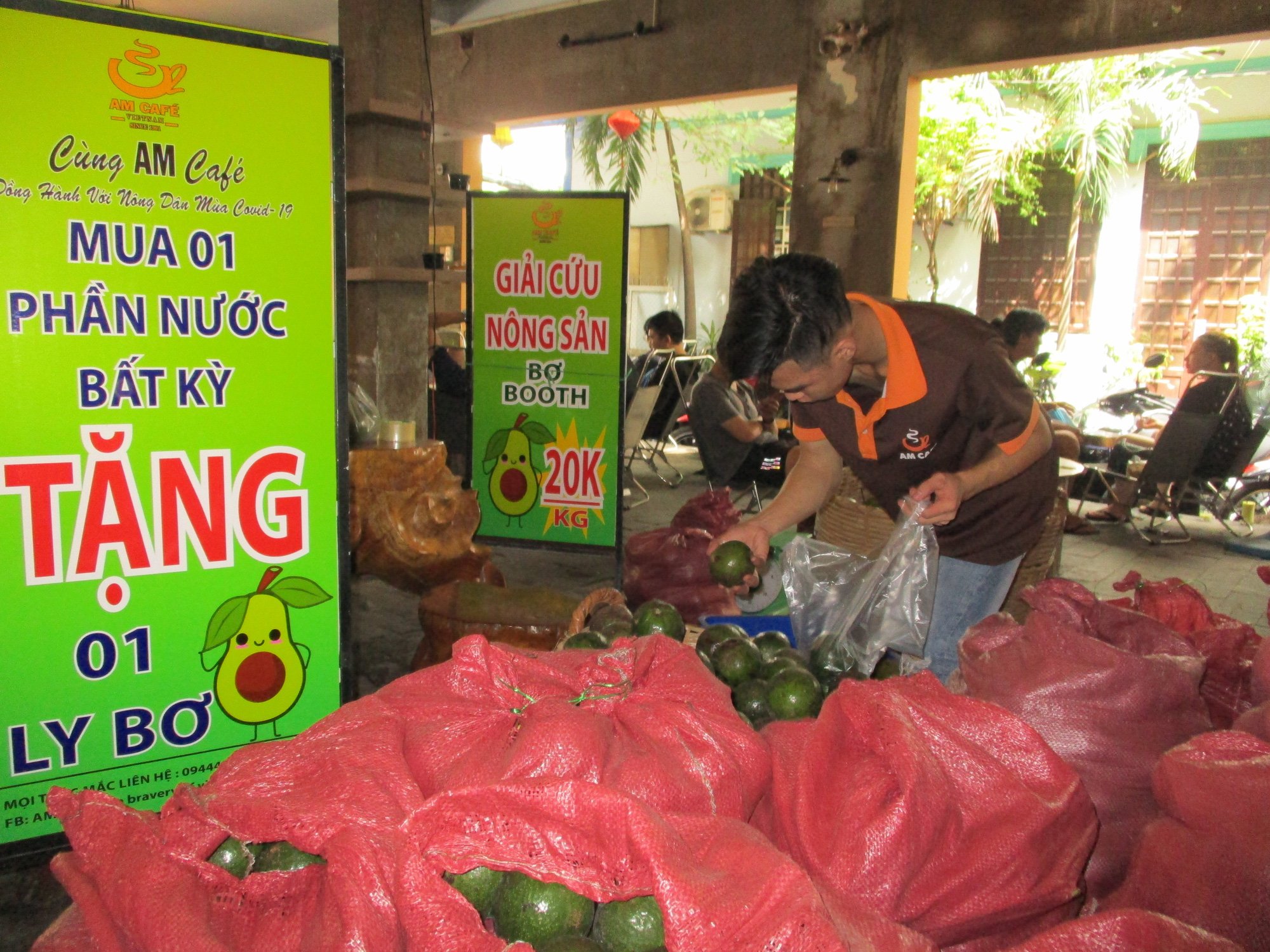 Đến lượt bơ Booth rơi vào cảnh giải cứu - Ảnh 1. Đến lượt bơ Booth rơi vào cảnh giải cứu - Ảnh 1.