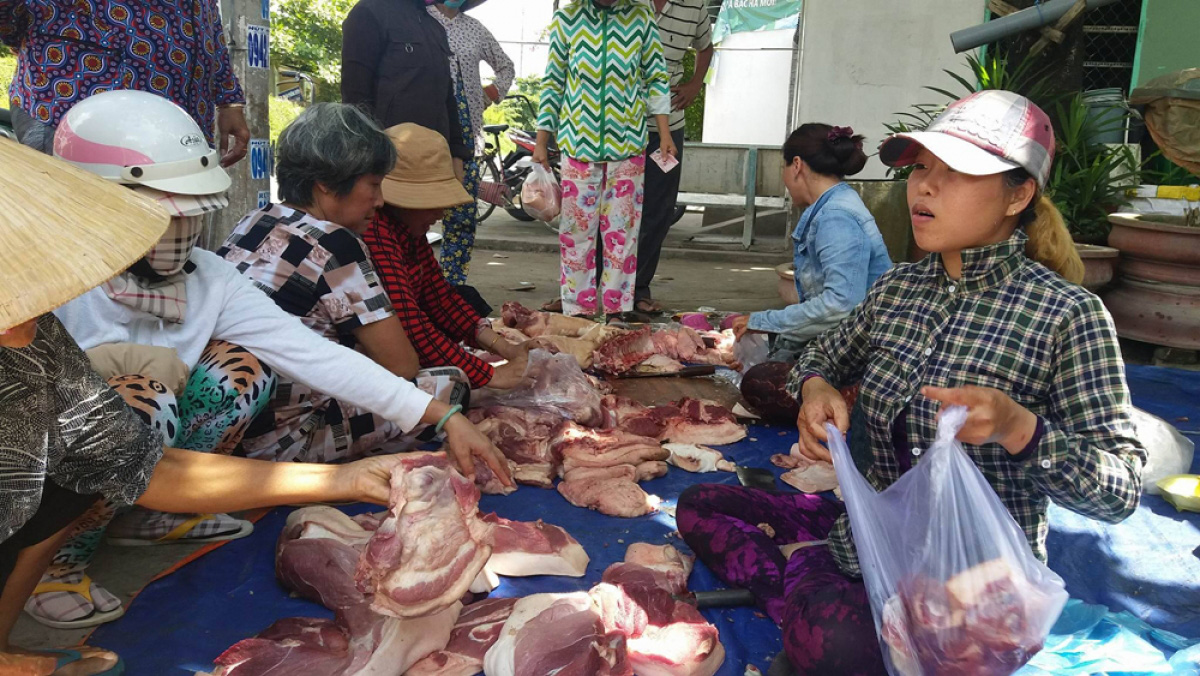 Giá lợn sụt giảm, hộ nuôi và người tiêu dùng thiệt thòi nhưng thương lái vẫn hưởng lợi - Ảnh 2. Giá lợn sụt giảm, hộ nuôi và người tiêu dùng thiệt thòi nhưng thương lái vẫn hưởng lợi - Ảnh 2.