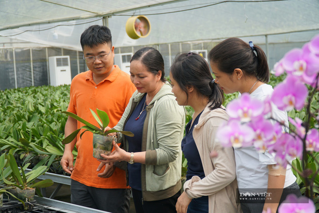 Hơn 96% số dân Thanh Oai hài lòng với xây dựng nông thôn mới - Ảnh 1.