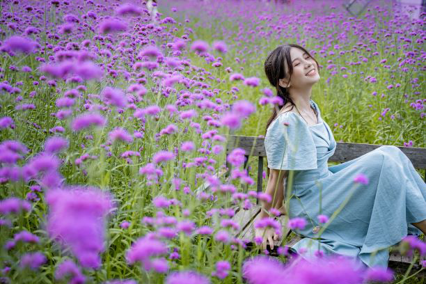 &quot;Ngỡ ngàng&quot; cánh đồng oải hương Thảo tím gọi mùa thu Hà Nội - Ảnh 8.