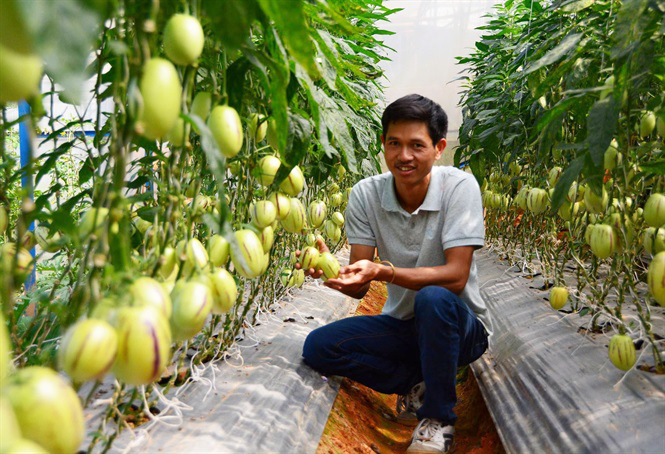 Nông nghiệp thông minh 4.0: Kinh nghiệm từ Lâm Đồng - Ảnh 1. Nông nghiệp thông minh 4.0: Kinh nghiệm từ Lâm Đồng - Ảnh 1.