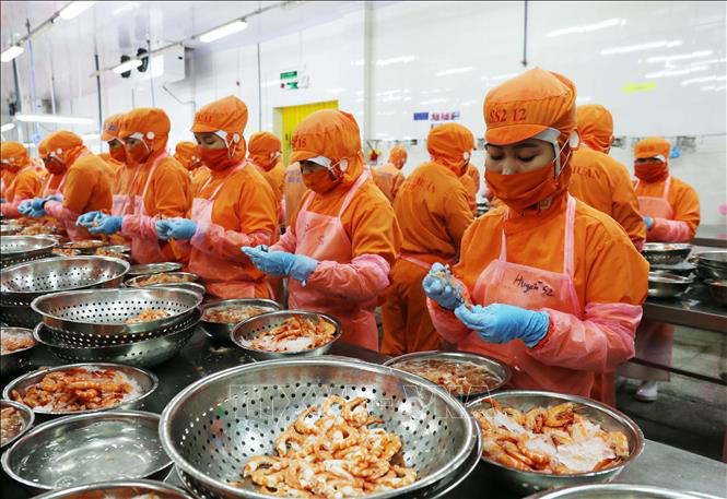 Xuất siêu 8 tháng đầu năm gần 13,5 tỷ USD - Ảnh 1. Xuất siêu 8 tháng đầu năm gần 13,5 tỷ USD - Ảnh 1.