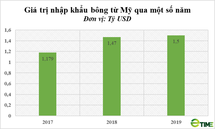 Doanh nghiệp Mỹ tìm đường xuất khẩu bông sang Việt Nam - Ảnh 1.