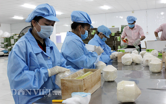 Dừa, bưởi và thanh long Bến Tre chính thức xuất sang châu Âu - Ảnh 3.
