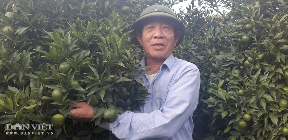 Vựa hoa quả Sơn La sẵn sàng cung ứng hàng cho nhà máy chế biến - Ảnh 1. Vựa hoa quả Sơn La sẵn sàng cung ứng hàng cho nhà máy chế biến - Ảnh 1.
