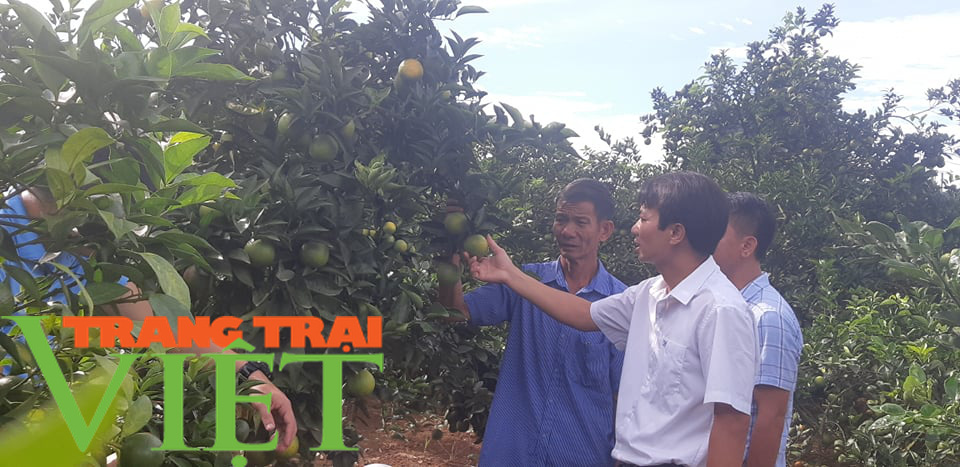 Ước mơ nhiều đời của bà con nông dân Sơn La đang trở thành hiện thực - Ảnh 4.