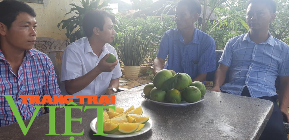 Ước mơ nhiều đời của bà con nông dân Sơn La đang trở thành hiện thực - Ảnh 3.