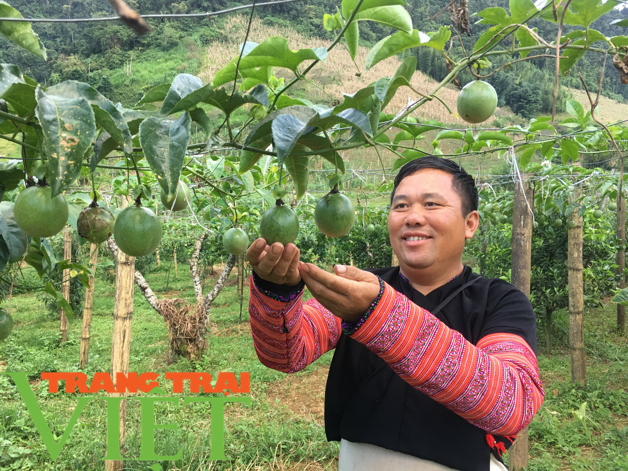 Ước mơ nhiều đời của bà con nông dân Sơn La đang trở thành hiện thực - Ảnh 5.