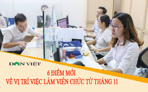 6 điểm mới về vị trí việc làm viên chức từ tháng 11/2020 - Ảnh 1.