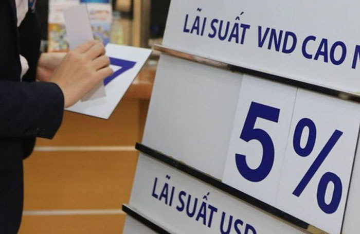 Rút tiền tiết kiệm, mang chục tỷ liều gom đất chờ thời ăn dày - Ảnh 1. Rút tiền tiết kiệm, mang chục tỷ liều gom đất chờ thời ăn dày - Ảnh 1.