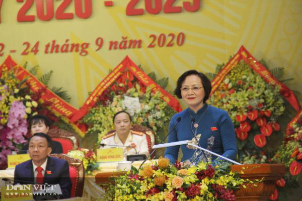 Yên Bái vượt 3 lần mục tiêu về số xã đạt chuẩn Nông thôn mới của tỉnh - Ảnh 3.