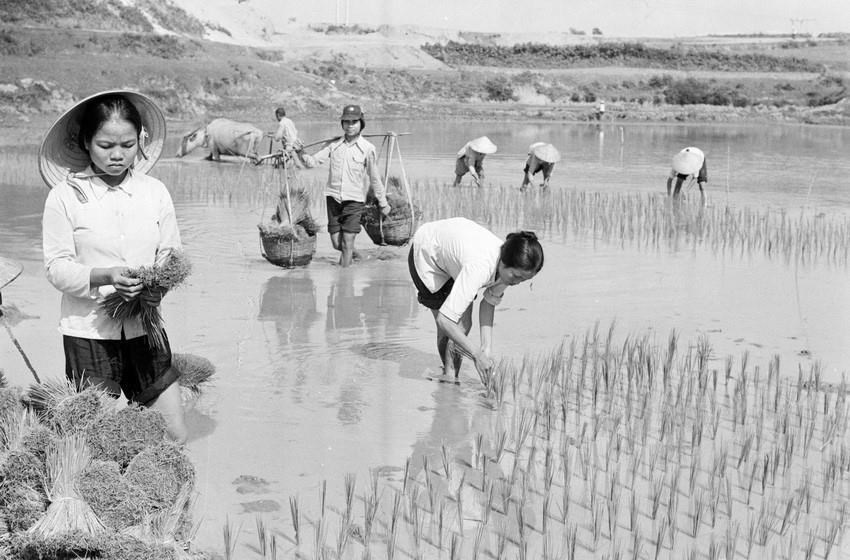 Đồng chí Vũ Oanh: Chỉ thị 100 đã cởi trói cho nông nghiệp - Ảnh 2.