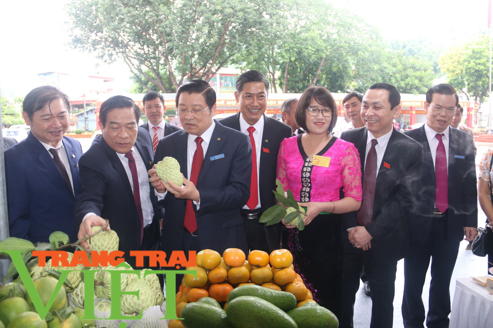 Sơn La: Hàng loạt nông sản sạch trưng bày tại Đại hội Đảng bộ - Ảnh 1.