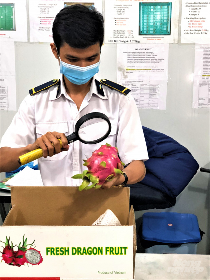Trái cây tươi Việt Nam xuất khẩu bình thường trở lại thị trường Hoa Kỳ - Ảnh 3. Trái cây tươi Việt Nam xuất khẩu bình thường trở lại thị trường Hoa Kỳ - Ảnh 3.