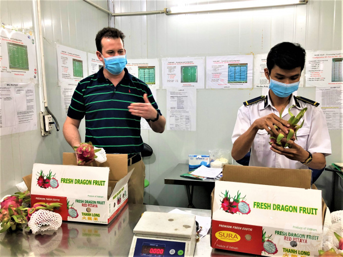 Trái cây tươi Việt Nam xuất khẩu bình thường trở lại thị trường Hoa Kỳ - Ảnh 2. Trái cây tươi Việt Nam xuất khẩu bình thường trở lại thị trường Hoa Kỳ - Ảnh 2.