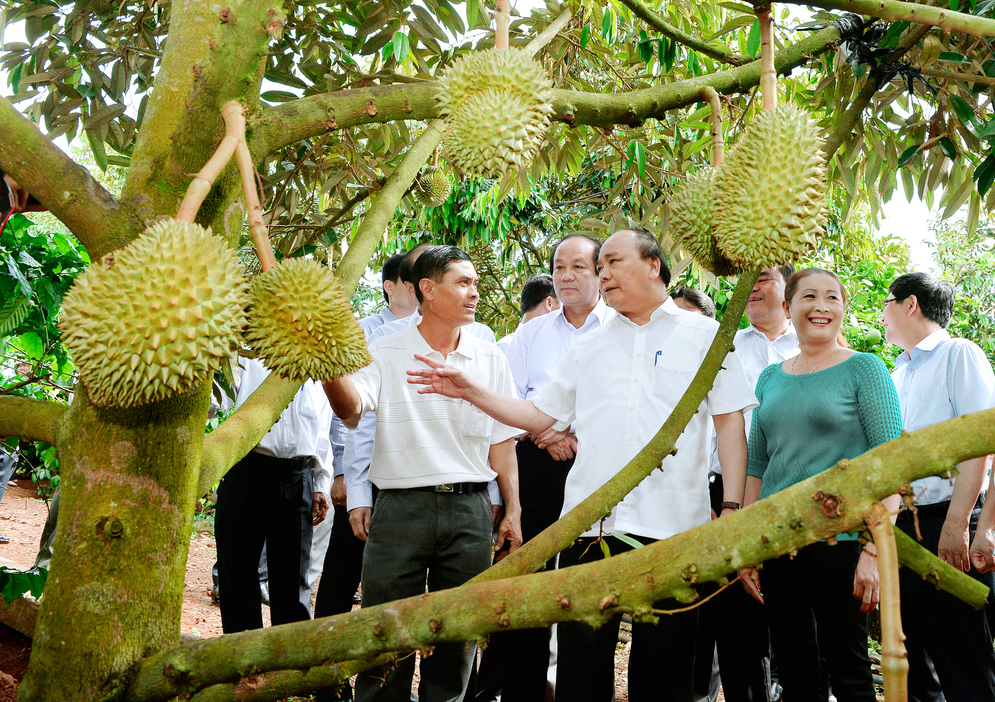 Sức mạnh lòng dân trong chương trình xây dựng NTM - Ảnh 1.