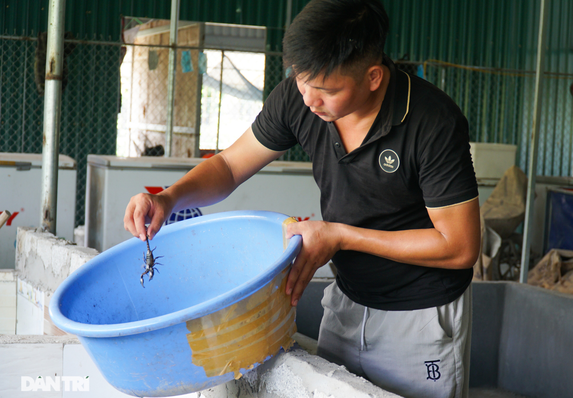 Nuôi toàn con &quot;độc lạ&quot;, chàng trai xứ Thanh thu lãi tiền tỷ mỗi năm - Ảnh 5.