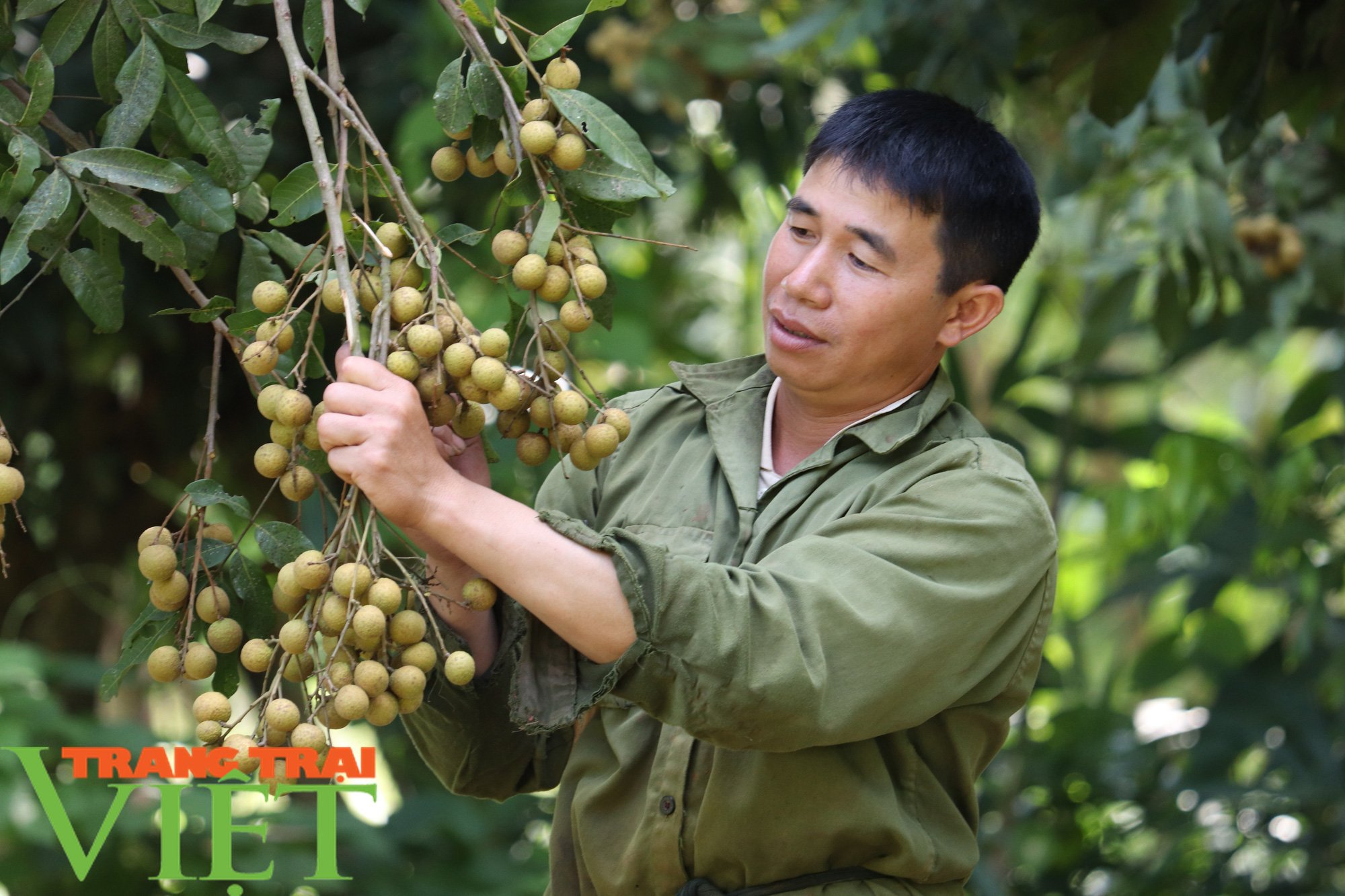 Bộ trưởng Bộ NNPTNT: Trồng trọt không có phân chuồng, không đời nào đạt tiêu chuẩn cao nhất - Ảnh 2. Bộ trưởng Bộ NNPTNT: Trồng trọt không có phân chuồng, không đời nào đạt tiêu chuẩn cao nhất - Ảnh 2.