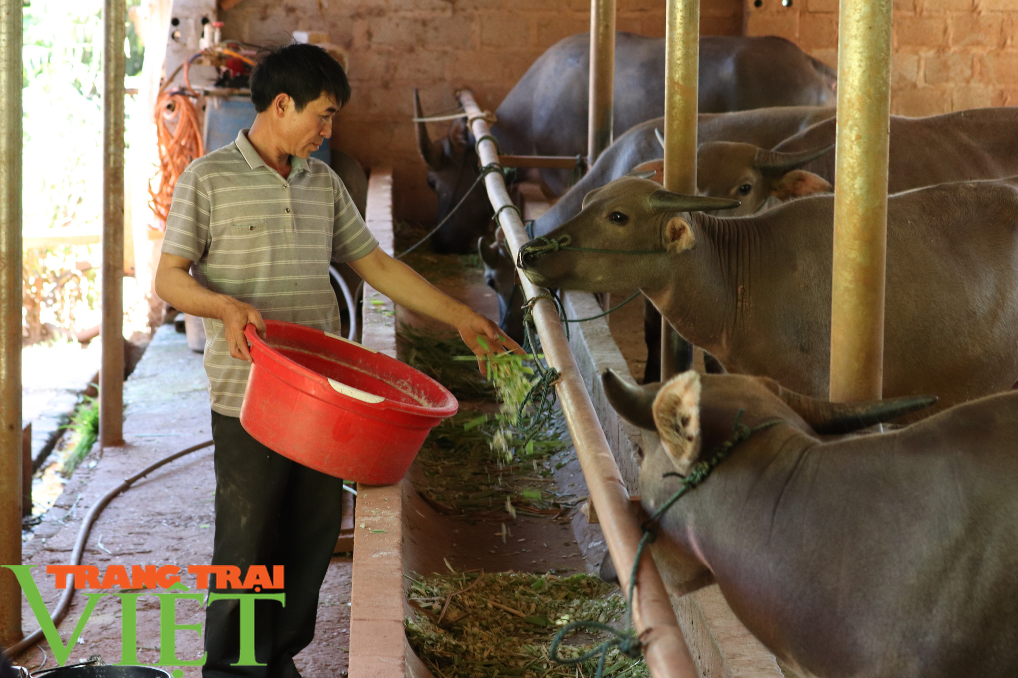 Bộ trưởng Bộ NNPTNT: Trồng trọt không có phân chuồng, không đời nào đạt tiêu chuẩn cao nhất - Ảnh 4. Bộ trưởng Bộ NNPTNT: Trồng trọt không có phân chuồng, không đời nào đạt tiêu chuẩn cao nhất - Ảnh 4.