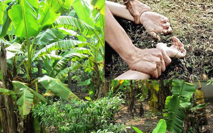 NÓNG: Đã bắt được đối tượng hiếp dâm bé gái ở vườn chuối tại Hà Nội - Ảnh 1.