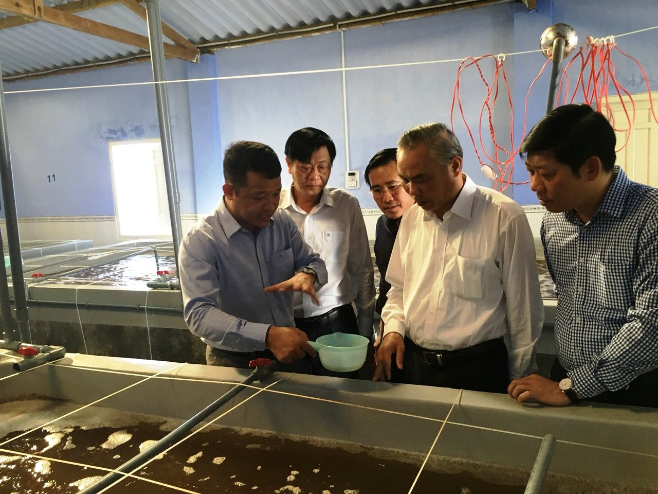 Ninh Thuận: Sản lượng tôm giống đến năm 2020 đạt 36 tỷ con - Ảnh 1. Ninh Thuận: Sản lượng tôm giống đến năm 2020 đạt 36 tỷ con - Ảnh 1.