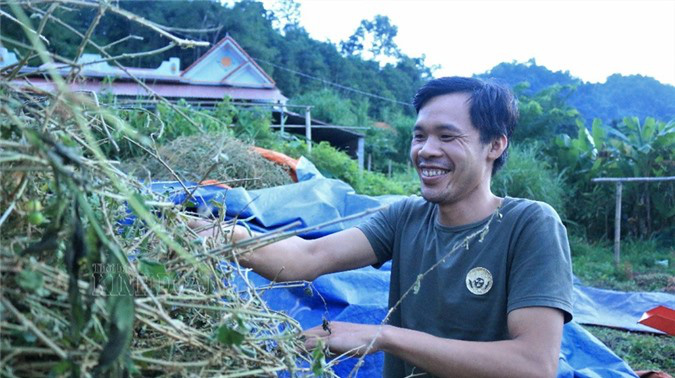 Cầm sổ đỏ vay tiền 'nuôi' cây dược liệu quý, bản nghèo "đổi đời" sau 2 năm - Ảnh 1. Cầm sổ đỏ vay tiền 'nuôi' cây dược liệu quý, bản nghèo "đổi đời" sau 2 năm - Ảnh 1.