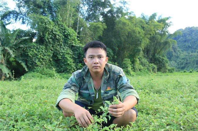 Cầm sổ đỏ vay tiền 'nuôi' cây dược liệu quý, bản nghèo "đổi đời" sau 2 năm - Ảnh 4. Cầm sổ đỏ vay tiền 'nuôi' cây dược liệu quý, bản nghèo "đổi đời" sau 2 năm - Ảnh 4.