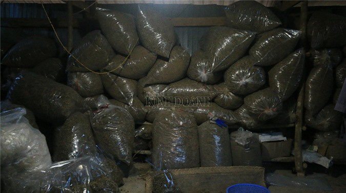 Cầm sổ đỏ vay tiền 'nuôi' cây dược liệu quý, bản nghèo "đổi đời" sau 2 năm - Ảnh 6. Cầm sổ đỏ vay tiền 'nuôi' cây dược liệu quý, bản nghèo "đổi đời" sau 2 năm - Ảnh 6.