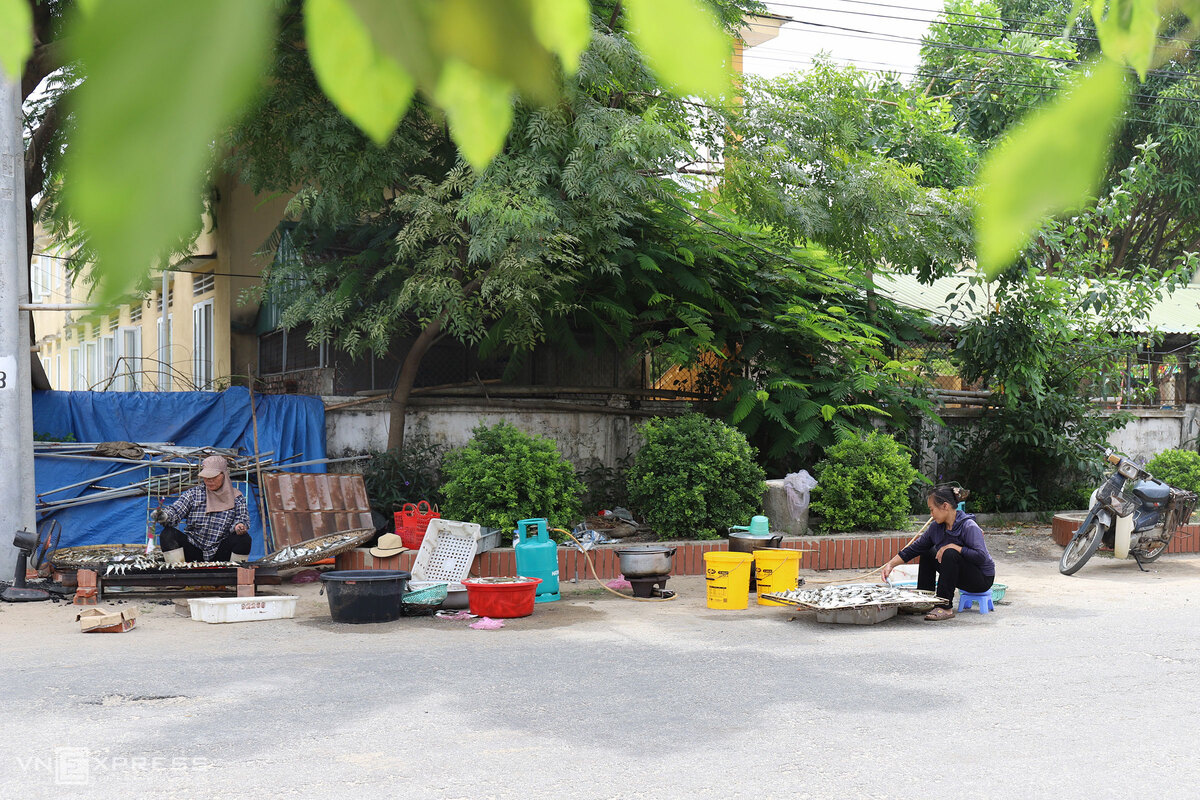 Ngư dân nướng cá trích kiếm tiền triệu mỗi ngày - Ảnh 5. Ngư dân nướng cá trích kiếm tiền triệu mỗi ngày - Ảnh 5.