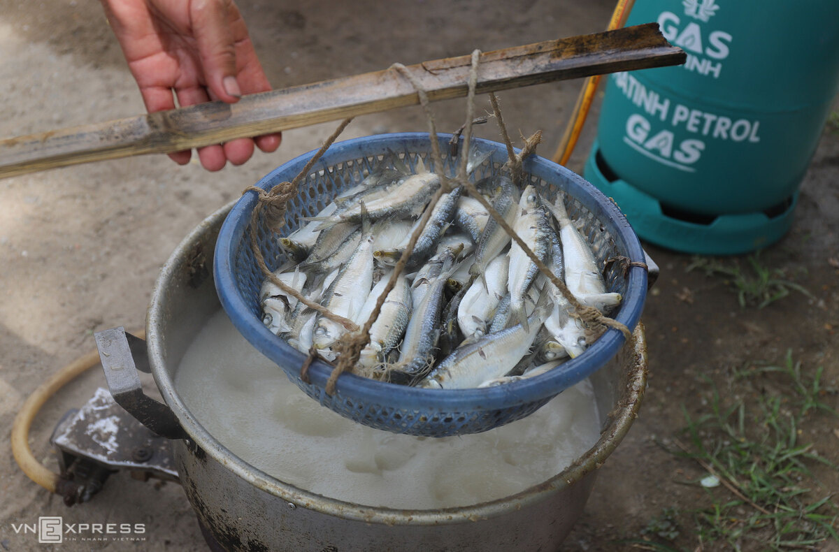 Ngư dân nướng cá trích kiếm tiền triệu mỗi ngày - Ảnh 8. Ngư dân nướng cá trích kiếm tiền triệu mỗi ngày - Ảnh 8.