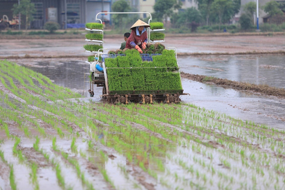 Bài 4: Kinh nghiệm quốc tế về bảo hiểm nông nghiệp (tiếp theo và hết) - Ảnh 8. Bài 4: Kinh nghiệm quốc tế về bảo hiểm nông nghiệp (tiếp theo và hết) - Ảnh 8.