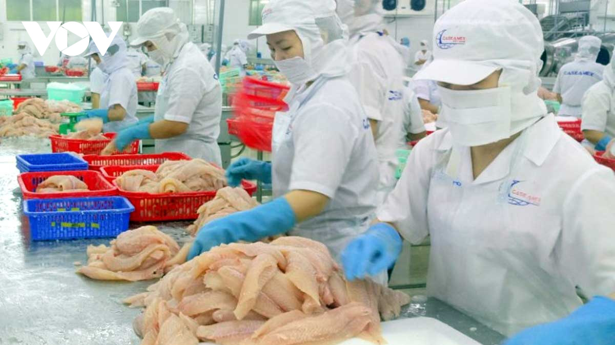 Xuất nhập khẩu Việt Nam 2020 ấn tượng qua 1 năm vượt khó - Ảnh 2. Xuất nhập khẩu Việt Nam 2020 ấn tượng qua 1 năm vượt khó - Ảnh 2.