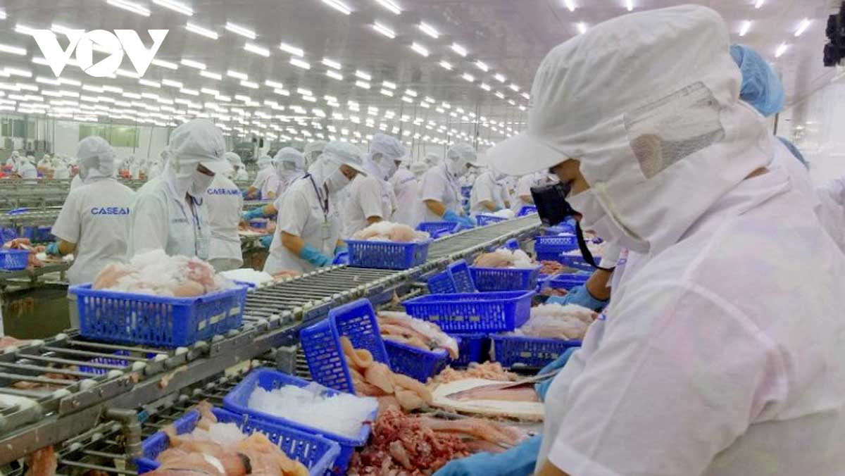 Xuất nhập khẩu Việt Nam 2020 ấn tượng qua 1 năm vượt khó - Ảnh 1. Xuất nhập khẩu Việt Nam 2020 ấn tượng qua 1 năm vượt khó - Ảnh 1.