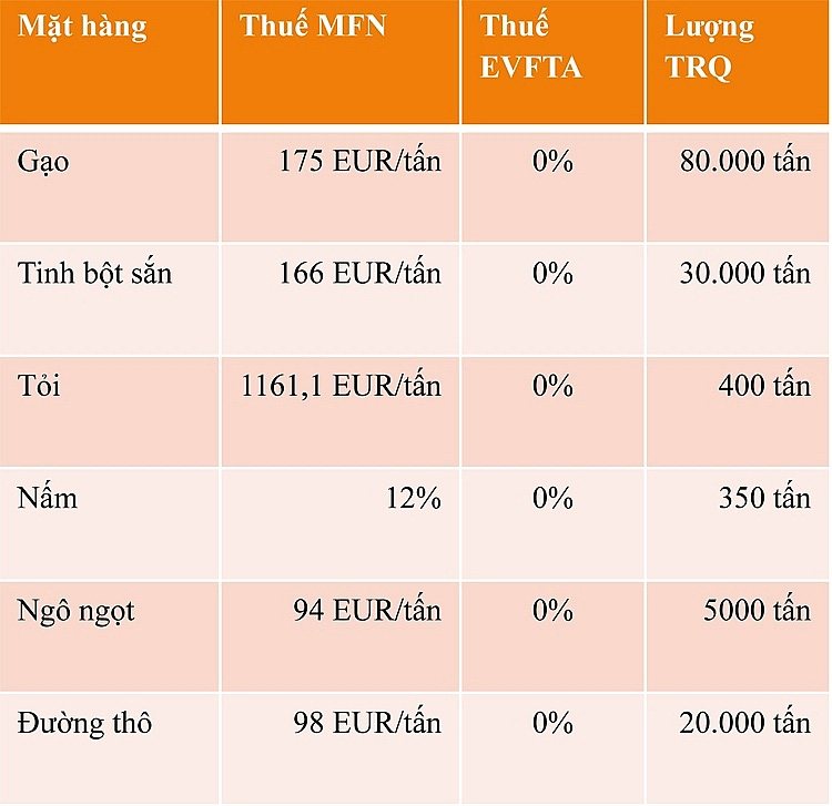 "Cánh cửa" cho nông sản Việt Nam vào thị trường Liên minh châu Âu - Ảnh 3. "Cánh cửa" cho nông sản Việt Nam vào thị trường Liên minh châu Âu - Ảnh 3.
