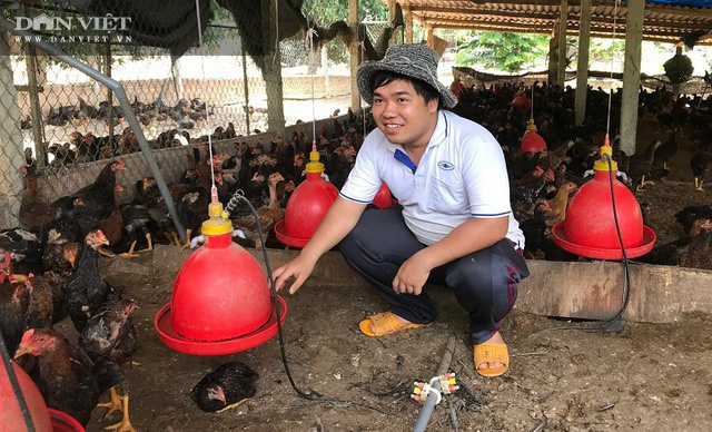 Giá gà đang tăng nhẹ, người nuôi ở Bình Định chờ giá bứt phá vào cận Tết Nguyên đán Tân Sửu 2021 - Ảnh 1.