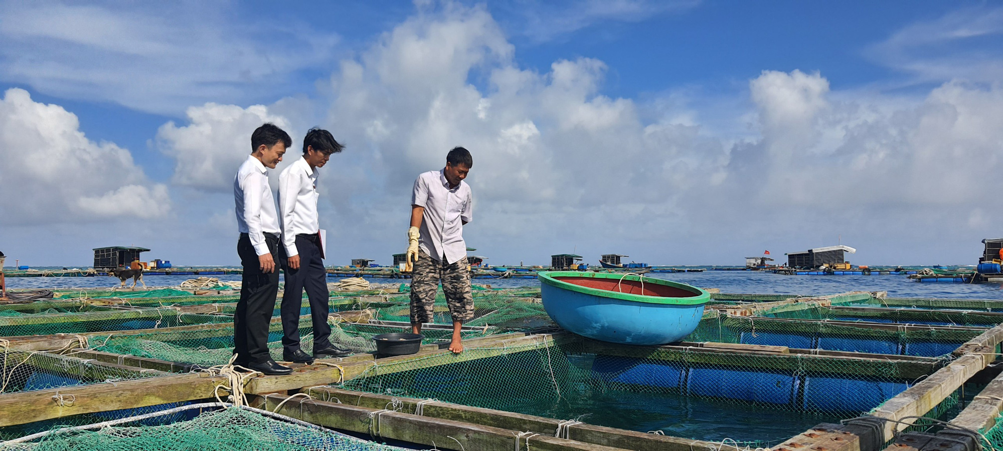 Quảng Ngãi: Hơn 7 nghìn khách hàng được Agribank gia hạn nợ, giảm lãi suất do ảnh hưởng Covid-19 - Ảnh 3. Quảng Ngãi: Hơn 7 nghìn khách hàng được Agribank gia hạn nợ, giảm lãi suất do ảnh hưởng Covid-19 - Ảnh 3.