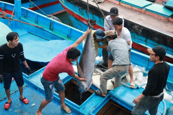 Sẽ triển khai truy xuất nguồn gốc thủy sản bằng điện tử - Ảnh 1. Sẽ triển khai truy xuất nguồn gốc thủy sản bằng điện tử - Ảnh 1.