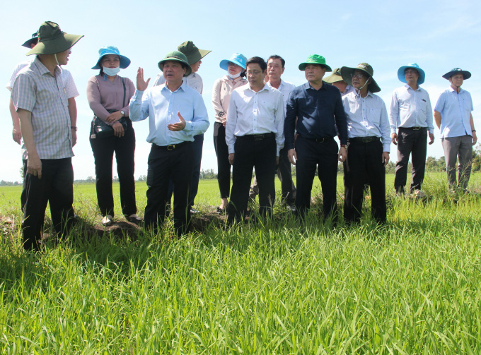 Phát lệnh xuất lô gạo 'mở hàng' năm 2021 - Ảnh 2. Phát lệnh xuất lô gạo 'mở hàng' năm 2021 - Ảnh 2.